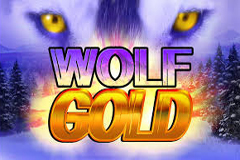 Image of Wolf Gold slot