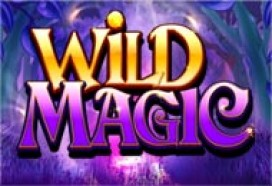 Wild Magician